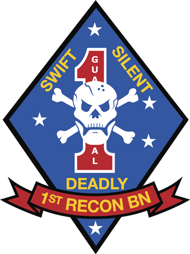 1st Reconnaissance Battalion  image