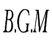 B.G.M image
