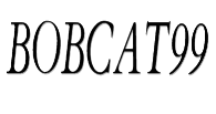 Bobcat99 image