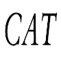 CAT image