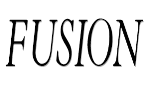 Fusion image