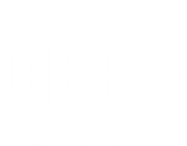 Goosebumps Music image