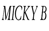 Micky B image