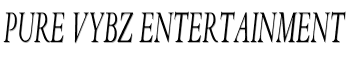 Pure Vybz Entertainment image