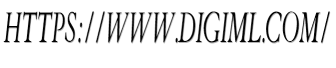 https://www.digiml.com/ image