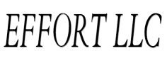Effort LLC image