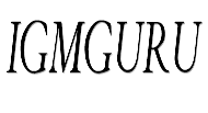 igmGuru image