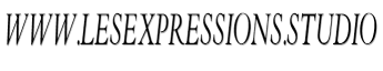 Www.lesexpressions.studio image