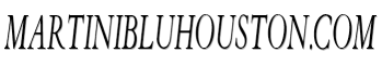 Martinibluhouston.com image