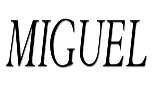 Miguel image