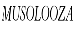 Musolooza image