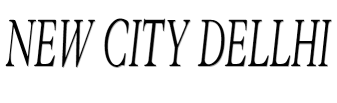New City Dellhi image