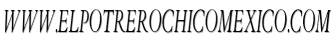 www.elpotrerochicomexico.com image