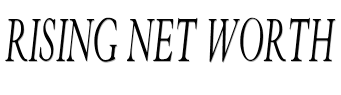 Rising Net Worth image