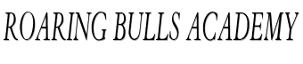 Roaring bulls academy image