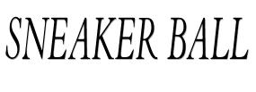 Sneaker Ball image