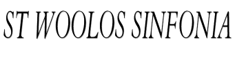 St woolos sinfonia image