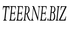 teerne.biz image