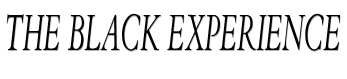 The Black Experience image