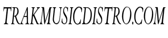 trakmusicdistro.com image