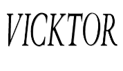 Vicktor image