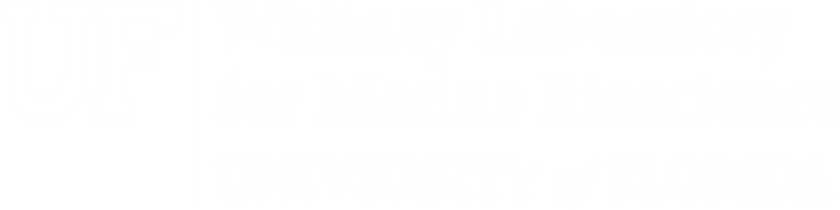 Whitney Laboratory image